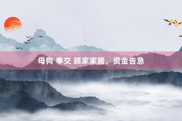 母狗 拳交 顾家家居，资金告急