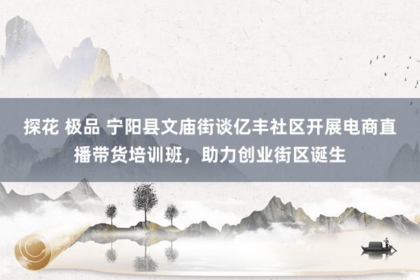 探花 极品 宁阳县文庙街谈亿丰社区开展电商直播带货培训班，助力创业街区诞生