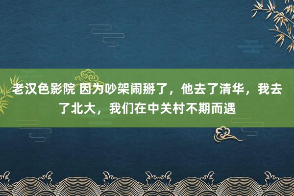 老汉色影院 因为吵架闹掰了，他去了清华，我去了北大，我们在中关村不期而遇