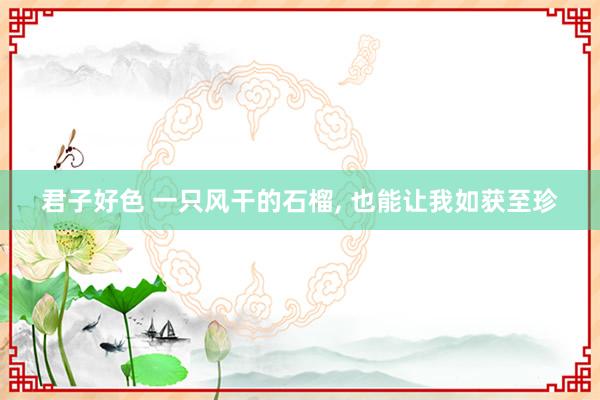 君子好色 一只风干的石榴， 也能让我如获至珍