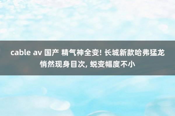 cable av 国产 精气神全变! 长城新款哈弗猛龙悄然现身目次， 蜕变幅度不小