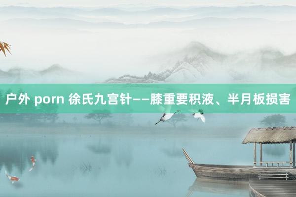 户外 porn 徐氏九宫针——膝重要积液、半月板损害