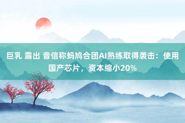 巨乳 露出 音信称蚂鸠合团AI熟练取得袭击：使用国产芯片，资本缩小20%
